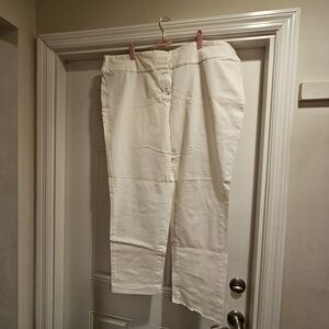 Alfani Women's Cream Trousers 24W